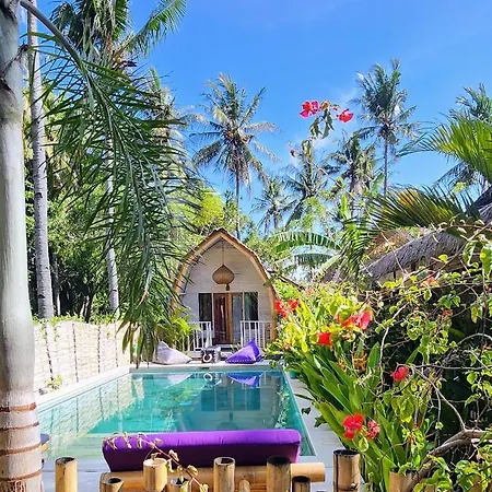 Purple Beach - Maithelia - Gili Air